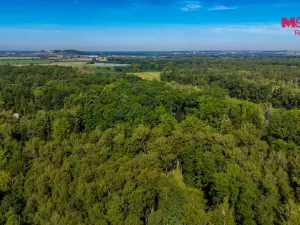 Prodej pozemku pro bydlení, Hradištko, 3825 m2