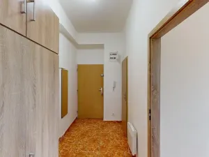 Pronájem bytu 2+1, Brno, Náplavka, 48 m2