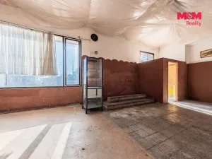 Prodej obchodního prostoru, Nová Ves - Vepřek, 600 m2