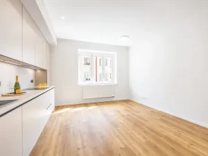 Prodej bytu 3+kk, Praha - Libeň, U libeňského pivovaru, 77 m2