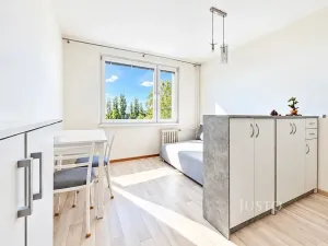 Prodej bytu 1+kk, Ústí nad Labem, SNP, 20 m2