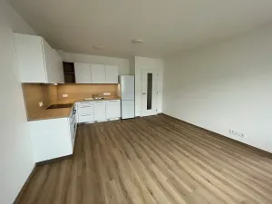 Pronájem bytu 2+kk, Brno, Jižní, 56 m2