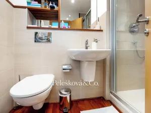 Prodej bytu 3+kk, Praha - Smíchov, Švédská, 128 m2