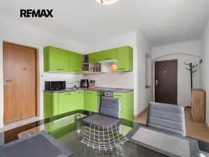 Prodej rodinného domu, Přeštice, Hlávkova, 335 m2