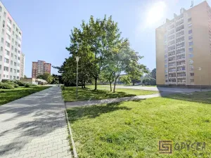 Prodej bytu 3+1, Ostrava, Podroužkova, 73 m2