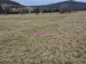 Prodej pozemku pro bydlení, Velká Bukovina, 950 m2