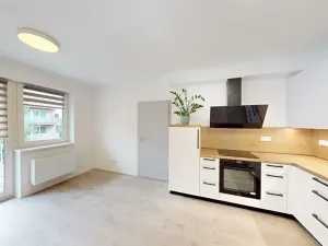 Pronájem bytu 2+kk, Litomyšl, Zelená alej, 50 m2