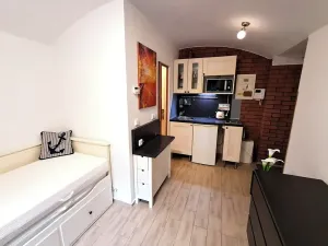 Prodej bytu 1+kk, Praha - Smíchov, Jindřicha Plachty, 14 m2