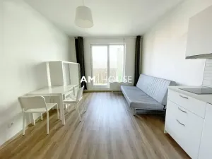Pronájem bytu 1+kk, Praha - Malešice, Nad úžlabinou, 28 m2