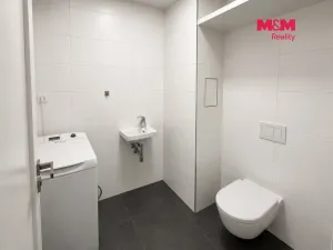 Pronájem bytu 2+kk, Praha - Strašnice, Limuzská, 52 m2
