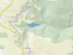 Prodej lesa, Strážná, 11485 m2