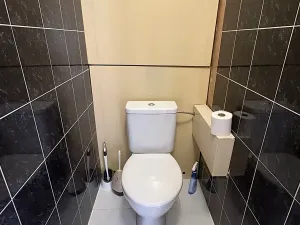 Pronájem bytu 4+1, Plzeň, Manětínská, 75 m2