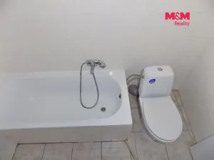 Pronájem bytu 1+kk, Teplice, U nádraží, 28 m2