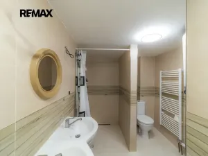 Prodej ubytování, Bartošovice v Orlických horách, 253 m2