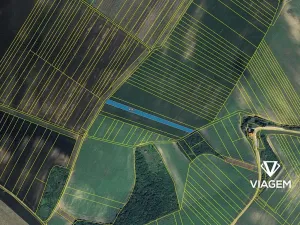 Prodej podílu pole, Velké Pavlovice, 1786 m2