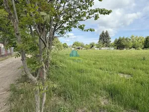 Prodej zahrady, Františkovy Lázně - Horní Lomany, Horní, 1302 m2