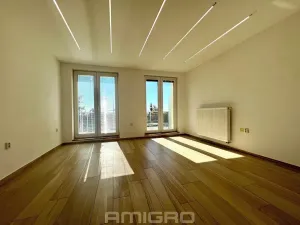 Pronájem bytu 1+kk, Brno, Věstonická, 38 m2