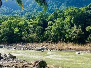 Prodej rodinného domu, La Ceiba, Honduras, 4080 m2