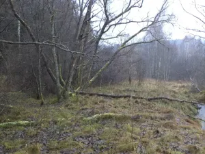 Prodej pozemku, Vyšší Brod, 919 m2
