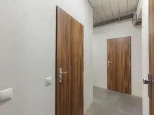 Prodej bytu 2+kk, Plzeň, U Velkého rybníka, 81 m2