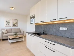 Pronájem bytu 1+kk, Brno, Markůvky, 25 m2