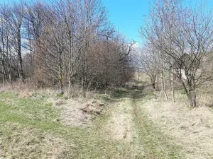 Prodej pozemku pro bydlení, Hynčina, 2595 m2