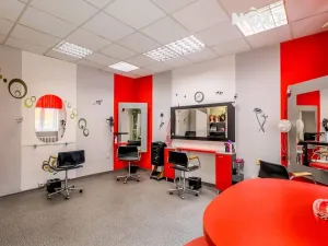 Prodej rodinného domu, Vyškov, Masarykovo náměstí, 839 m2