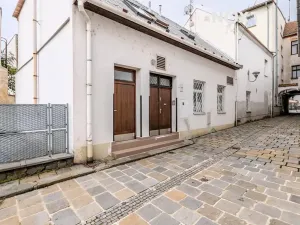 Prodej rodinného domu, Vyškov, Masarykovo náměstí, 839 m2