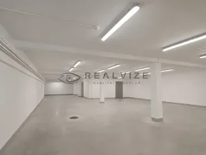 Prodej bytu 3+kk, České Budějovice, J. Dobrovského, 161 m2