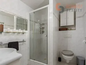 Prodej vícegeneračního domu, Podivín, 450 m2