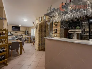 Prodej vícegeneračního domu, Podivín, 450 m2