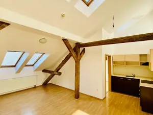 Pronájem bytu 2+kk, Brno, Ptašínského, 53 m2