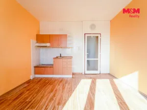 Prodej bytu 1+kk, Plzeň - Lobzy, Pod Vrchem, 20 m2