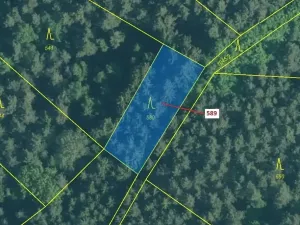 Dražba lesa, Kuřimany, 713 m2