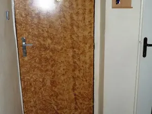 Pronájem bytu 1+1, Zabrušany, 45 m2
