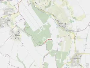 Dražba lesa, Přísnotice, 574 m2