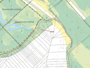 Dražba lesa, Přísnotice, 574 m2
