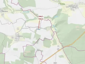 Dražba lesa, Osek, 1823 m2