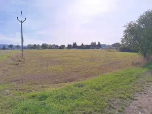 Dražba pole, Vrbice, 9030 m2
