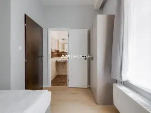 Pronájem ubytování, Praha - Nové Město, Opatovická, 1000 m2