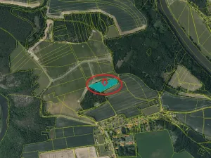 Prodej lesa, Kladruby nad Labem, 11916 m2
