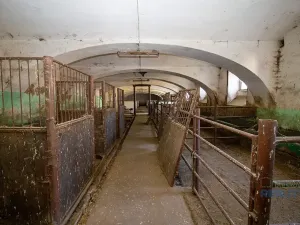 Prodej zemědělské usedlosti, Kojetice, 1113 m2
