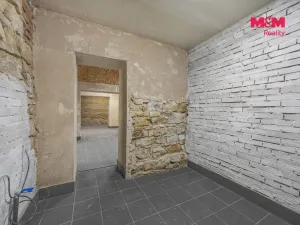Prodej obchodního prostoru, Praha, Seifertova, 110 m2