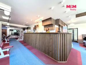 Pronájem obchodního prostoru, Praha - Smíchov, Kobrova, 276 m2