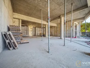 Prodej obchodního prostoru, Brno, 236 m2