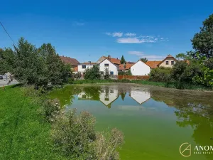Prodej rodinného domu, Hostomice, Pivovarská, 200 m2