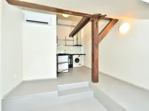 Pronájem bytu 1+kk, Praha - Nusle, Oldřichova, 29 m2