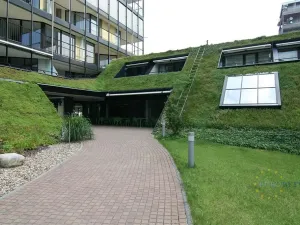 Pronájem bytu 2+kk, Praha - Žižkov, Pitterova, 70 m2
