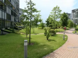 Pronájem bytu 2+kk, Praha - Žižkov, Pitterova, 70 m2