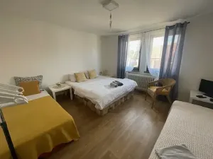 Prodej ubytování, Lednice, Komenského, 200 m2